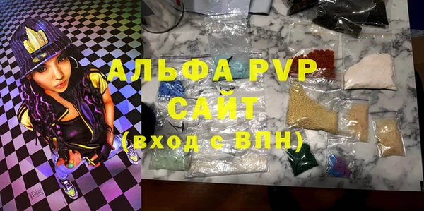 шишки Верея