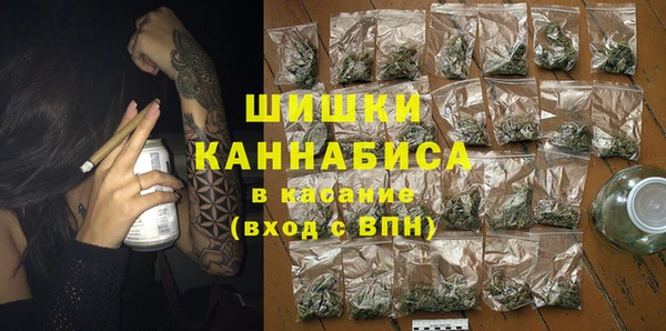 шишки Верея
