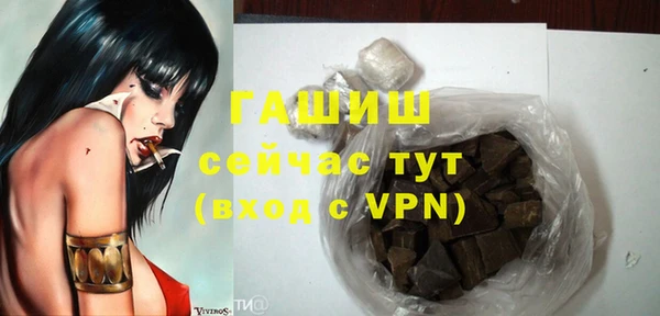 шишки Верея