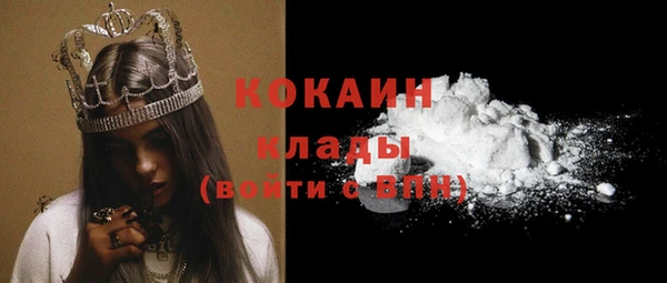 шишки Верея