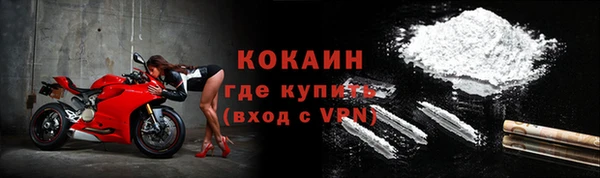 шишки Верея