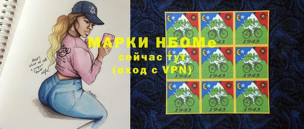 шишки Верея