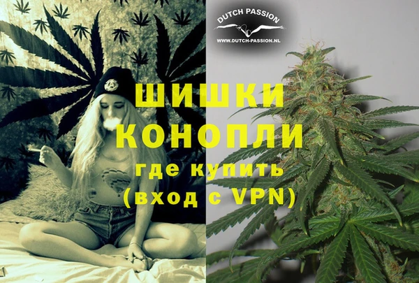 шишки Верея