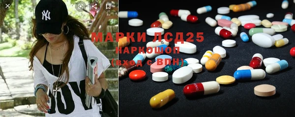шишки Верея