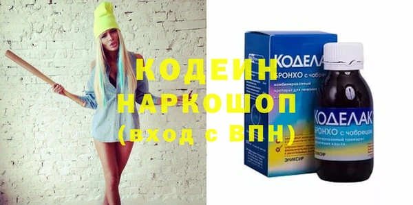 шишки Верея