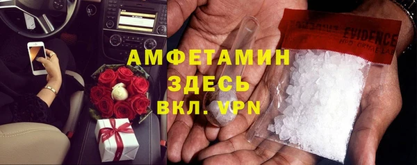 шишки Верея