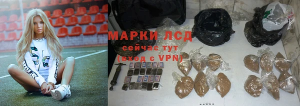 прущие грибы Верхнеуральск
